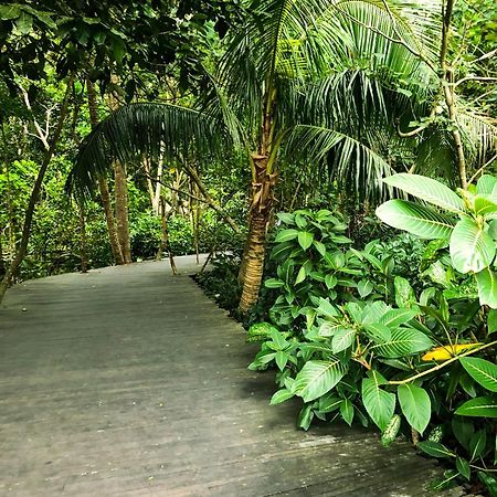 Rayshiva Homestay Убуд Екстер'єр фото